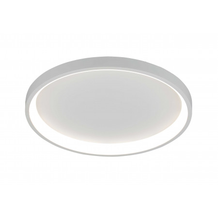 2532/500 WHITE (1) Потолочный светильник (RL) 
