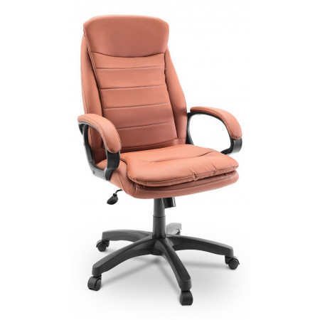 Кресло для руководителя Dikline CL46