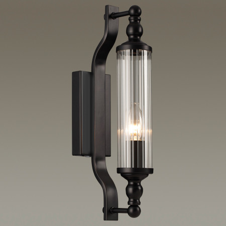 Светильник для ванной комнаты Odeon Light 4941/1W TOLERO