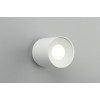 Потолочный светодиодный светильник Omnilux Torino OML-100309-16