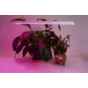 Светодиодный светильник для растений Feron AL7001 41352
