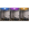Потолочный светодиодный светильник Yeelight Arwen Ceiling Light 550S YLXD013-A