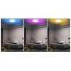 Потолочный светодиодный светильник Yeelight Arwen Ceiling Light 450C YLXD013-B