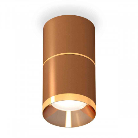 Комплект накладного светильника Ambrella light Techno Spot XS7404061 SCF/PYG кофе песок/золото желтое полированное (C7404, A2072, C7404, N7034)