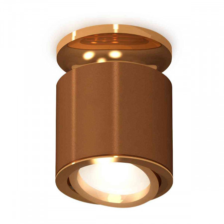 Комплект накладного светильника Ambrella light Techno Spot XS7404120 SCF/PYG кофе песок/золото желтое полированное (N7929, C7404, N7004)