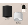 Комплект накладного светильника Ambrella light Techno Spot XS7422025 SBK/FR черный песок/белый матовый (C7422, N7170)