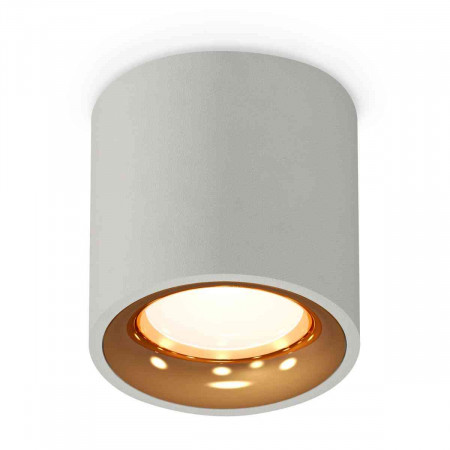 Комплект накладного светильника Ambrella light Techno Spot XS7533024 SGR/PYG серый песок/золото желтое полированное (C7533, N7014)
