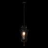 Уличный подвесной светильник Loft IT Verona 100003P