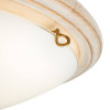 Настенно-потолочный светодиодный светильник Sonex Snok Provence 7605/DL