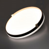 Настенно-потолочный светодиодный светильник Sonex Pale Olidi Black 7647/EL
