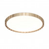 Настенно-потолочный светодиодный светильник Sonex Pale Atabi Gold 7648/DL