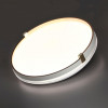 Настенно-потолочный светодиодный светильник Sonex Pale Olidi White 7646/EL