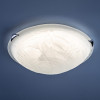 Настенно-потолочный светодиодный светильник Sonex Snok Lufe 7601/DL