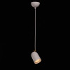 Подвесной светильник De Markt Астор 13 545013601
