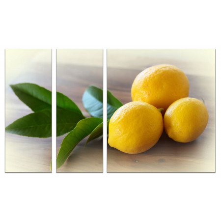 Модульная картина "Яркие лимоны" из 3х частей 80х140 VJ762