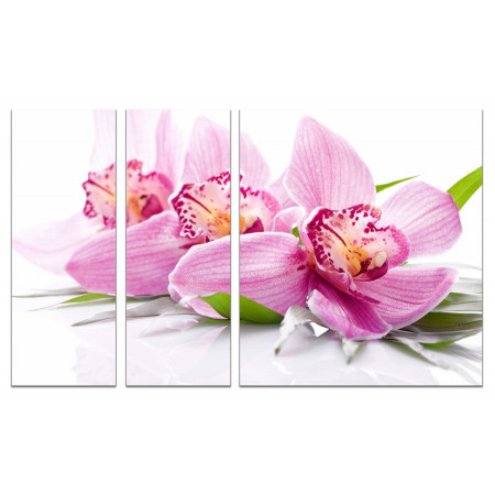 Модульная картина "Нежные цветки орхидеи" из 3х частей 80х140 VJ619