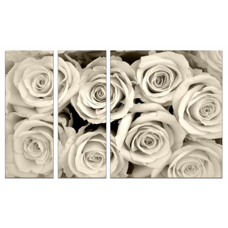 Модульная картина "Много много роз" из 3х частей 80х140 VJ612