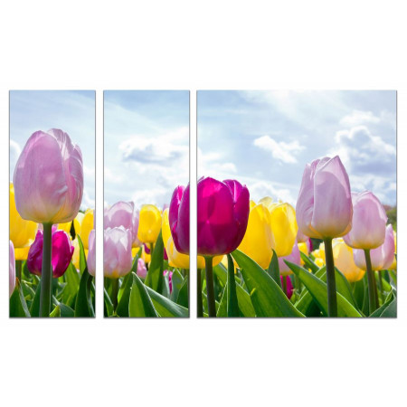 Модульная картина "Весеннее настроение тюльпанов" из 3х частей 80х140 VJ610