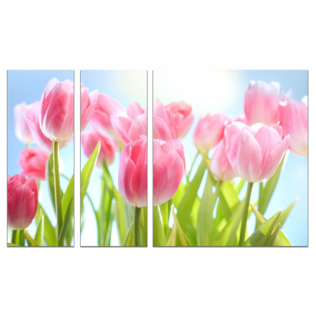 Модульная картина "Нежные тюльпаны" из 3х частей 80х140 VJ604