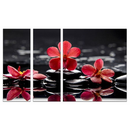 Модульные картины из 3х частей "Красные орхидеи на воде" 80х140 VJ584