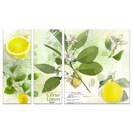 Модульная картина "Цветущий лимон" из 3х частей 80х140 VJ302