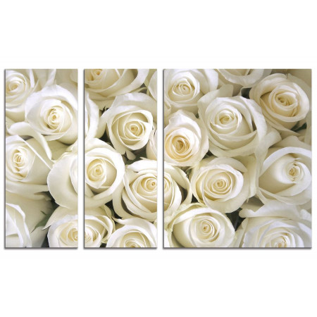 Модульная картина "Белые розы" из 3х частей 100х60 VS695