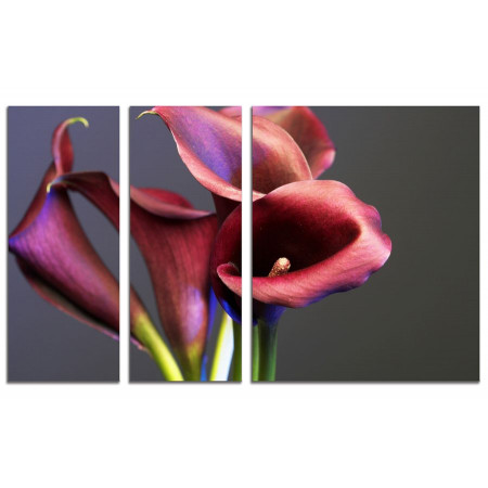 Модульная картина "Малиновые Каллы на сером фоне" из 3х частей 100х60 VS684