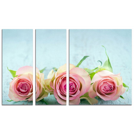 Модульная картина "Нежно-розовые розы" из 3х частей 100х60 VS679