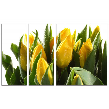 Модульная картина "Букет желтых тюльпанов" из 3х частей 100х60 VS653
