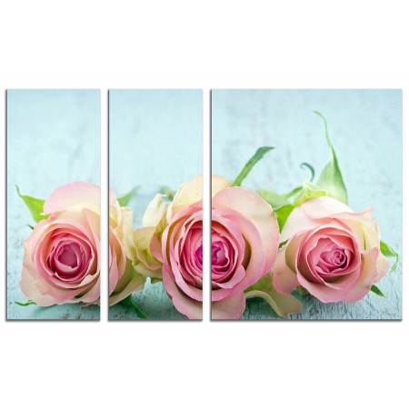 Модульная картина "Нежно-розовые розы" из 3х частей 100х60 VS632