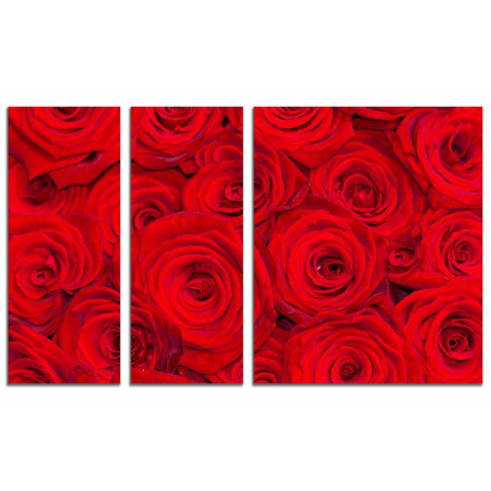 Модульная картина "Миллион миллион алых роз..." из 3х частей 100х60 VS620