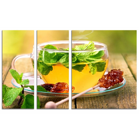 Модульная картина "Зеленый чай с мятой" из 3х частей 100х60 VS407