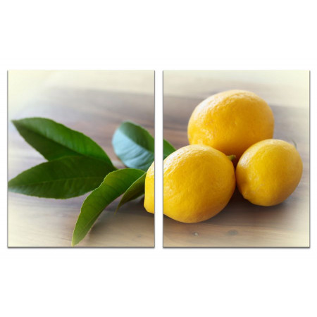 Модульная картина "Яркие лимоны" из 2 х частей 60х100 GT762