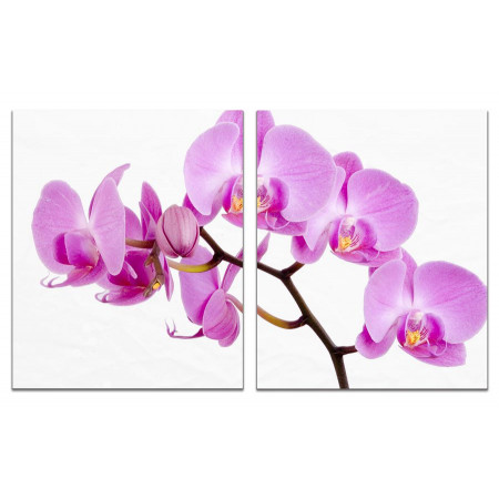 Модульная картина "Сиреневая орхидея" из 2 х частей 60х100 GT747