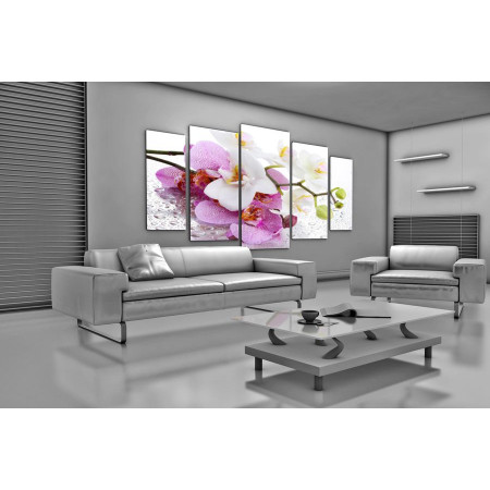 Модульная картина "Непревзойденные орхидеи" 120х250 U141