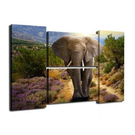 Модульная картина Четверник "Слон в горах" 80Х140 Q540