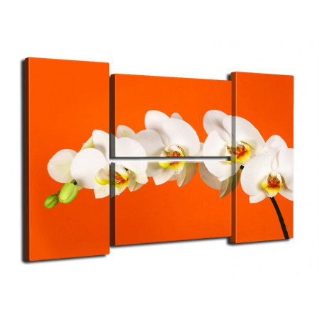 Модульная картина "Орхидея на оранжевом фоне" четверник 80Х140 Q483