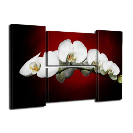 Модульная картина Четверник "Белые орхидеи на красно-черном фоне" 80Х140 Q470