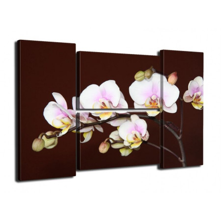 Модульная картина "Орхидеи на ветке" четверник 80Х140 Q414