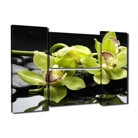 Модульная картина "Шикарные орхидеи" четверник 80Х140 Q326