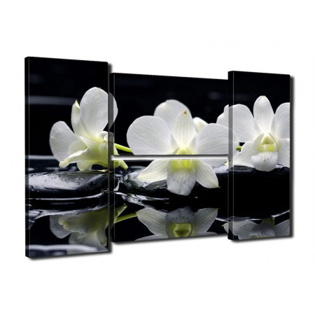 Модульная картина "Три белых орхидеи" четверник 80Х140 Q324