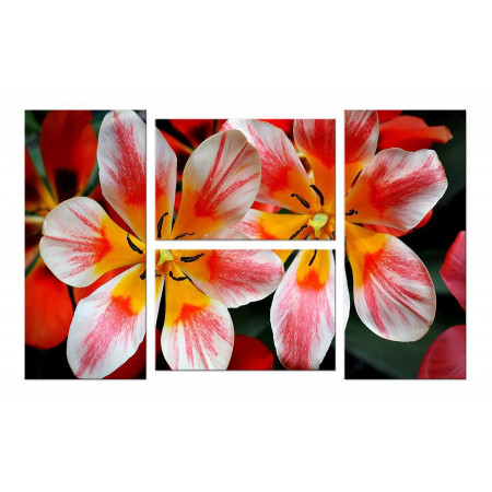 Модульная картина "Пестрые лилии" четверник 100х60 W705