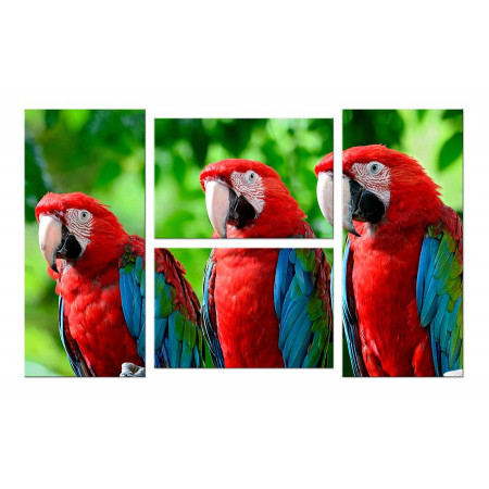 Модульная картина Четверник "Три попугая" 100х60 W406