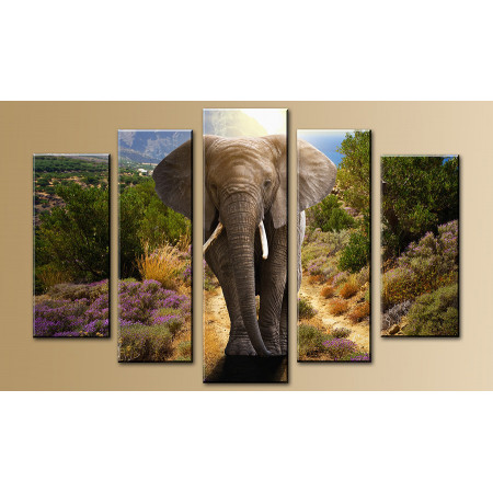 Модульная картина"Слон в горах"  80х140 M780