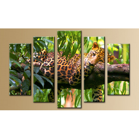 Модульная картина "Уставший леопард" 80х140 M716