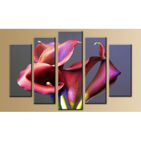 Модульная картина "Малиновые Каллы на сером фоне" 80х140 M629
