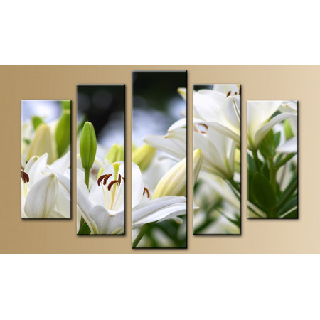 Модульная картина "Белые лилии" 80х140 M603