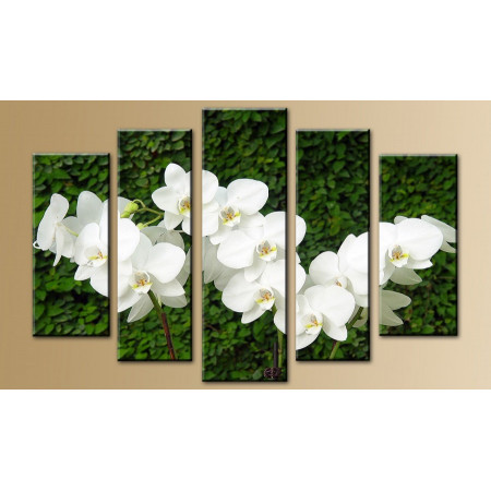 Модульная картина "Веточки белых орхидей" 80х140 M542