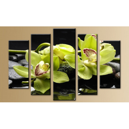 Модульная картина "Шикарные орхидеи" 80х140 M519