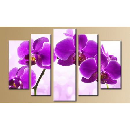 Модульная картина "Фиолетовая орхидея" 80х140 M513
